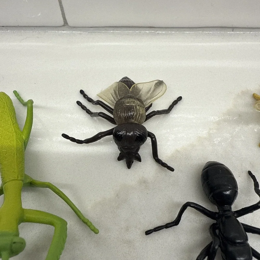 Safari Ltd Bugs Insects 2